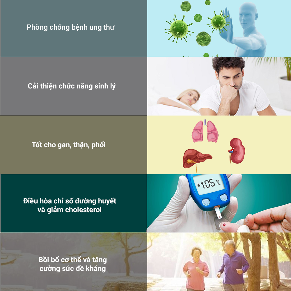 Đông trùng hạ thảo Toro sấy thăng hoa tăng cường sinh lý nam nữ