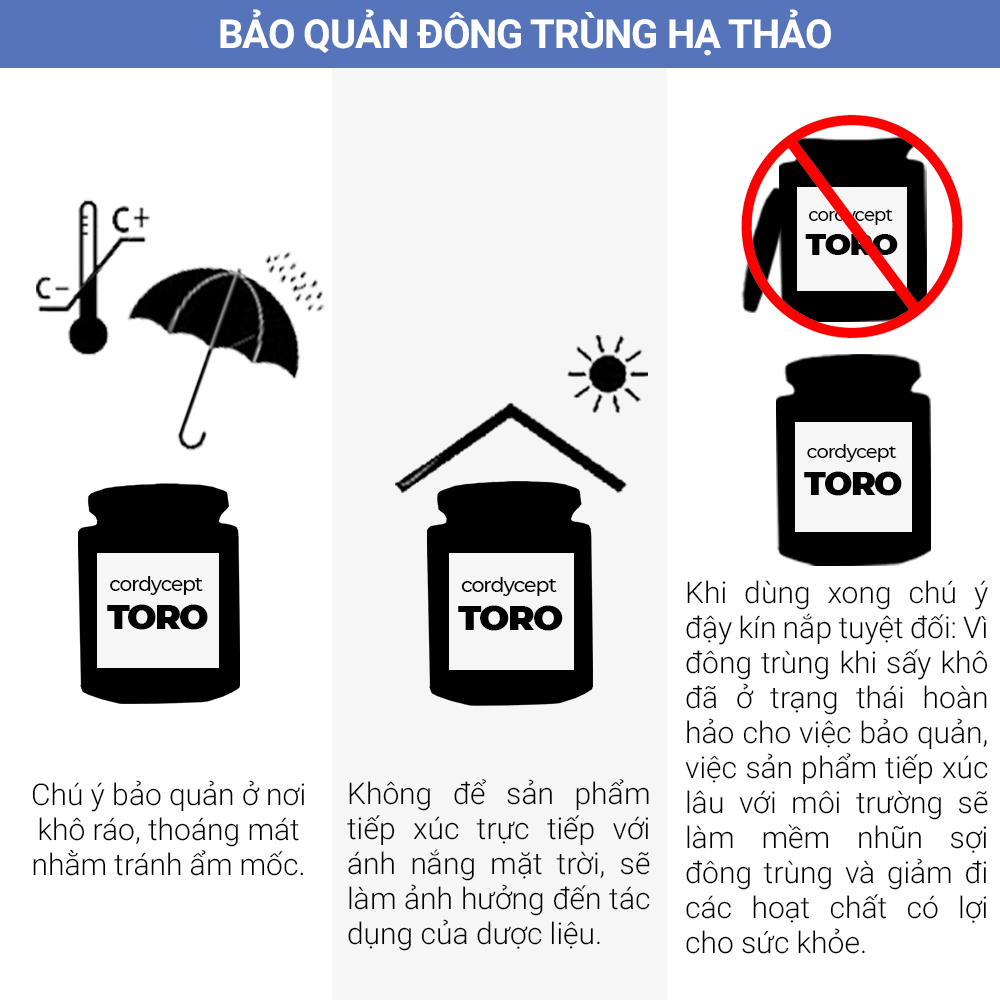 Đông trùng hạ thảo Toro sấy thăng hoa tăng cường sinh lý nam nữ