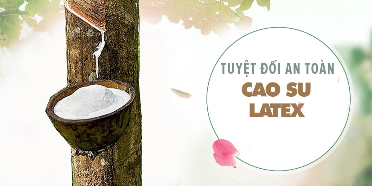 Bao cao su Quinn Nude Fit siêu mỏng chống tuột hộp 12 cái