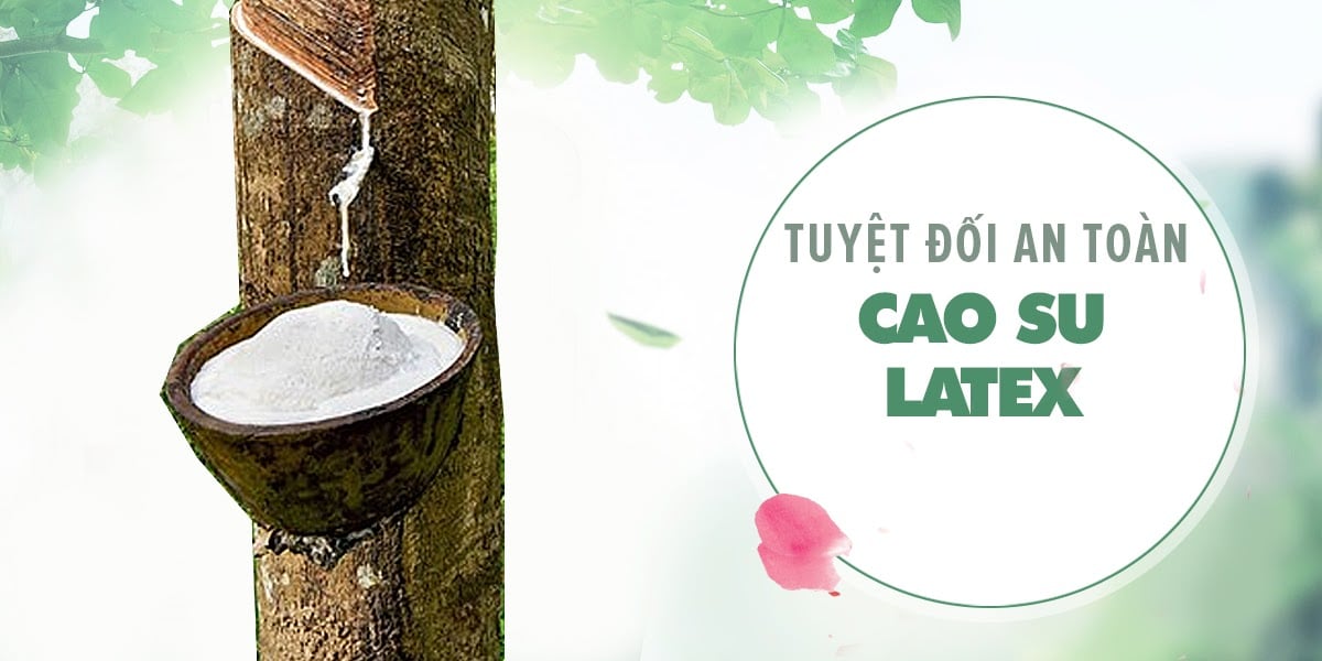 Bao cao su Quinn Pleasure Max gân điểm nổi an toàn hộp 12 cái