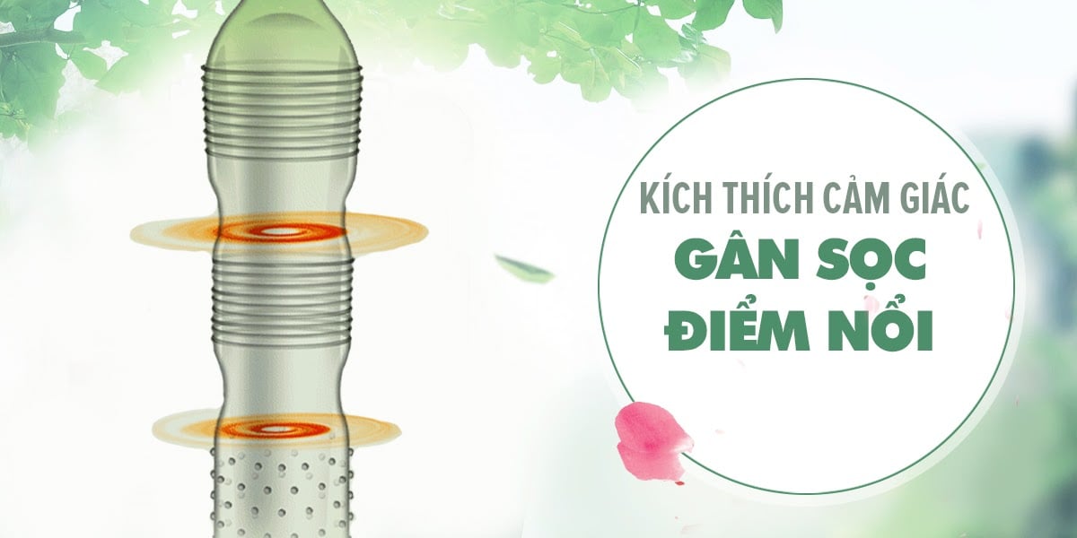 Bao cao su Quinn Pleasure Max gân điểm nổi an toàn hộp 12 cái